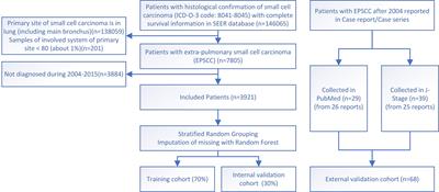 An online tool for survival prediction of extrapulmonary small cell carcinoma with random forest